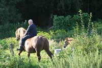 reiten in masuren