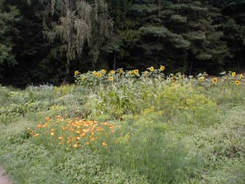 08Garten