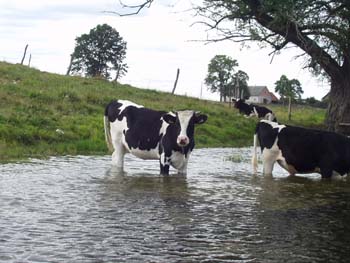 29Fluss