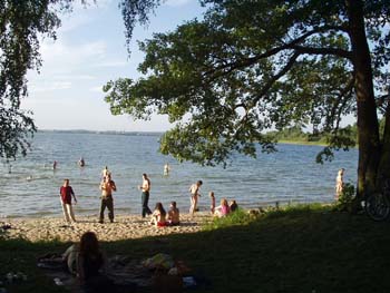 31wadagsee