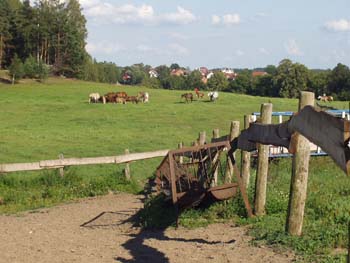 33Reiterhof