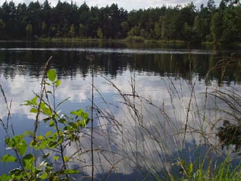 33waldsee
