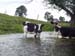 29Fluss