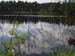 33waldsee