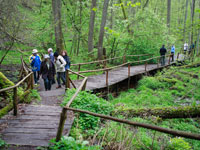 masuren, olsztyn,allenstein