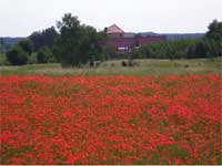 masuren,pension,babie lato, am kujno-see