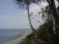 kurische nehrung