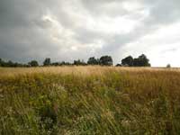 bauernhof,guest-home