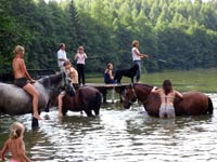 masuren,reiten,bauernhof