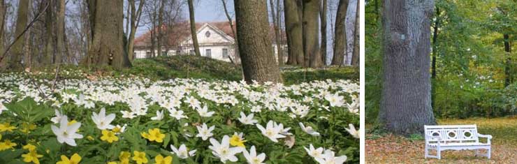 masuren,schloss nakomiady