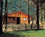 masuren,ferienhaus,holzhaus
