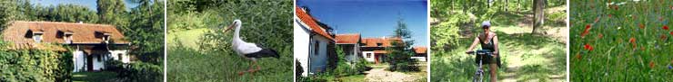 masuren,ferienhaus,ferienhauser,bauernhof,ferienhof