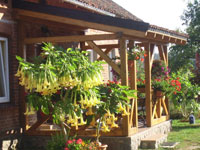 pension zielony gaj, masuren,reiten,bauernhof,urlaub,auf dem lande