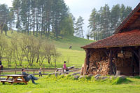 masuren,reiten,bauernhof