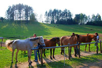 masuren,reiten,bauernhof