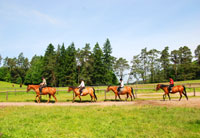 reiten in masuren, bauernhof,familienurlaub