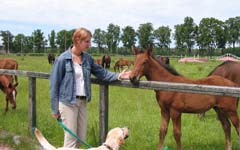 reiten in masuren